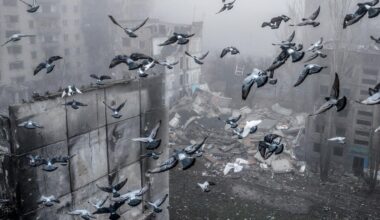 Ukraine-Krieg: Am Ende entscheidet die Front