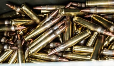 Munition der Bundeswehr in Sachsen-Anhalt gestohlen