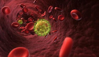 Spezielle Gedächtnis-T-Zellen erklären funktionelle Heilungen bei HIV – News – Deutsches Ärzteblatt