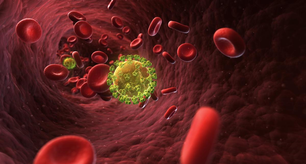 Spezielle Gedächtnis-T-Zellen erklären funktionelle Heilungen bei HIV – News – Deutsches Ärzteblatt