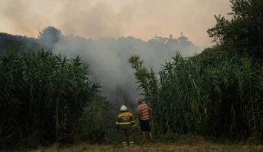 Waldbrände 2025: Waldbrände führen zu bisher höchsten Emissionen in Europa