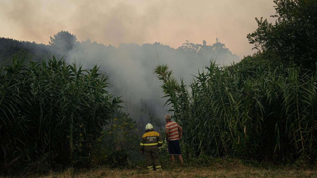 Waldbrände 2025: Waldbrände führen zu bisher höchsten Emissionen in Europa
