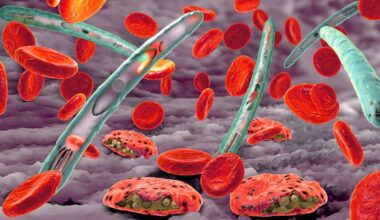 Ganaplacid in Phase-3-Studie ähnlich wirksam wie Artemisinin – News – Deutsches Ärzteblatt