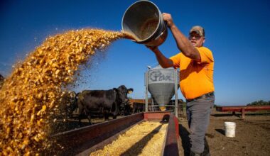 USA: Donald Trump plant Entlastungspaket für US-Landwirte in Milliardenhöhe