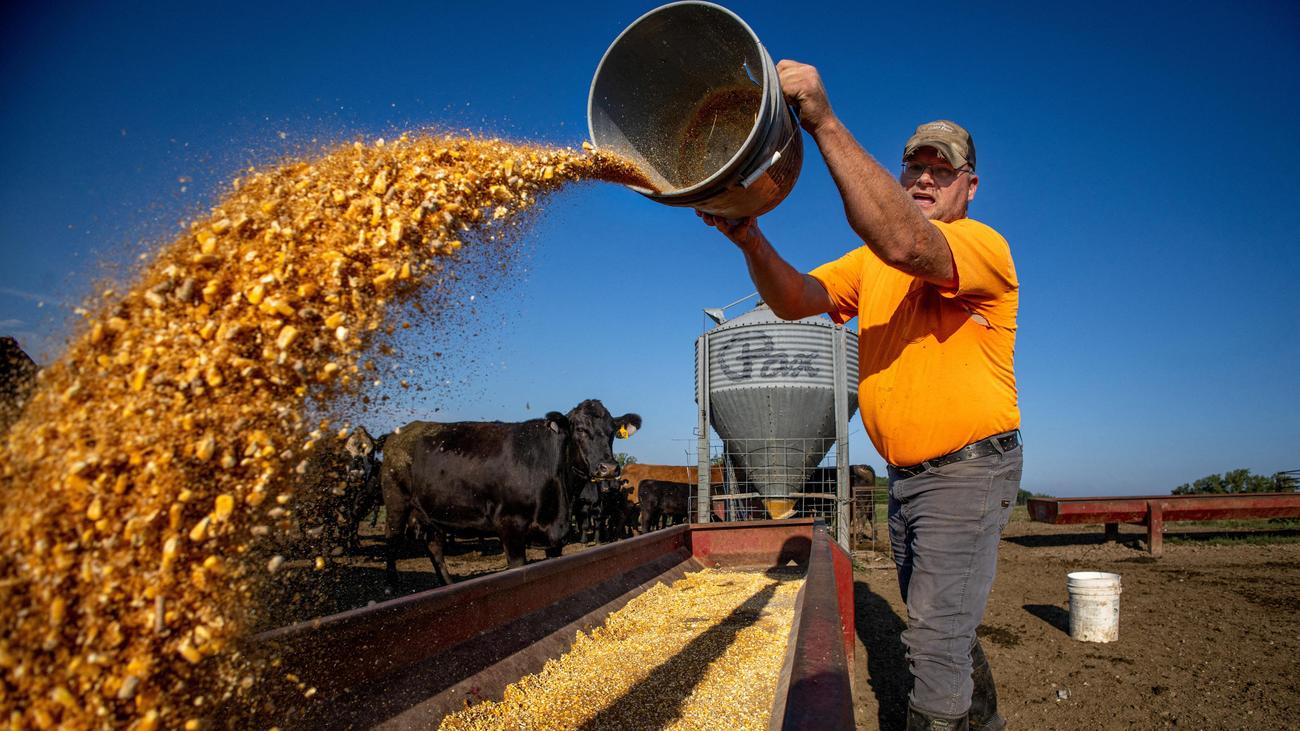 USA: Donald Trump plant Entlastungspaket für US-Landwirte in Milliardenhöhe