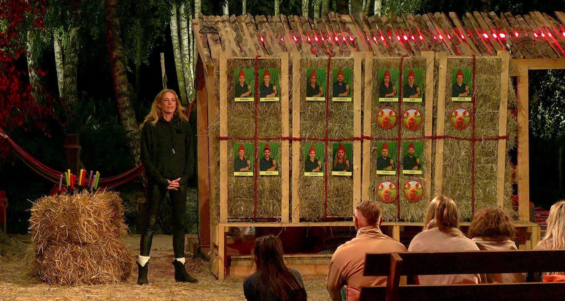 Giulia Siegel und die "Der Promihof"-Stars