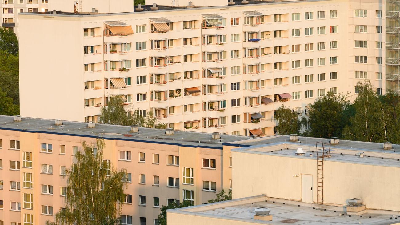 Musik: Dresdner Plattenbau wird zum Adventskalender