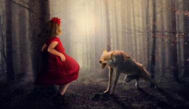 Portrait of a Dead Girl von The Last Dinner Party | Behind the Lyrics | Radio Q