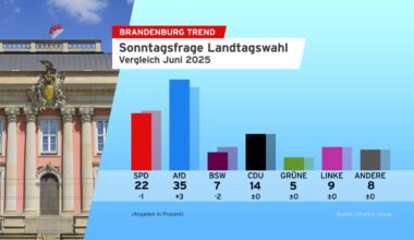 Neuer Höchstwert für die AfD - fast jeder Zweite für Neuwahl - rbb24.de