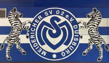 MSV-News in KW50: Zebra-Invasion in Köln erwartet