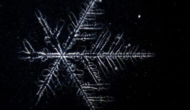 Elbvertiefung: Der tägliche Newsletter aus Hamburg: Minus 271 Grad Celsius! Ab heute wird es kalt im Hamburger Westen