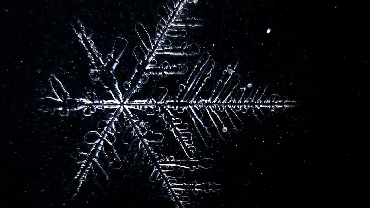 Elbvertiefung: Der tägliche Newsletter aus Hamburg: Minus 271 Grad Celsius! Ab heute wird es kalt im Hamburger Westen