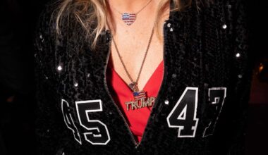 AfD-Abgeordnete in den USA: AfD-Politiker fliegen auf Steuerzahlerkosten nach New York