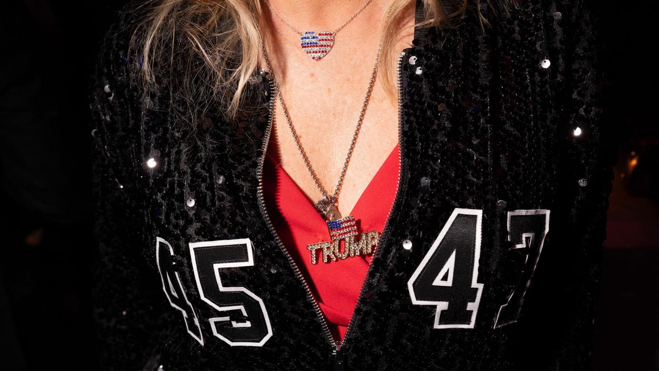 AfD-Abgeordnete in den USA: AfD-Politiker fliegen auf Steuerzahlerkosten nach New York