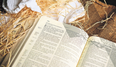 Gottesdienste in der Evangelisch-Lutherische Kirchengemeinde Schönkirchen: Abendgottesdienst unter dem Motto „Maria durch ein’ Dornwald ging“, Gottesdienste mit Krippenspiel an Heiligabend u.v.m. .