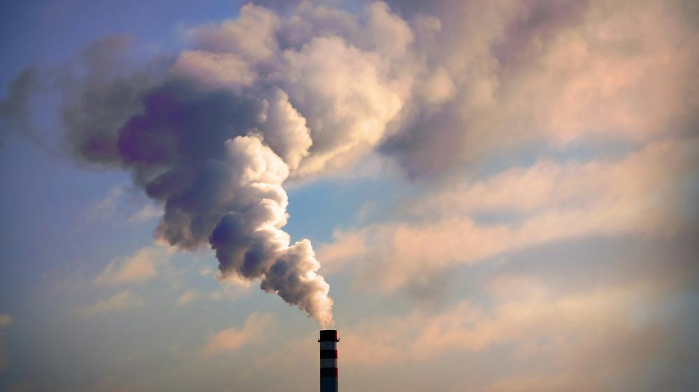 CO₂-Speicherung in Hamburg: 60 Tonnen CO2 jährlich soll die neue Anlage im Hamburger Hafen aus der Luft saugen und speichern