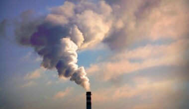 CO₂-Speicherung in Hamburg: Der CO₂-Fänger im Hafen