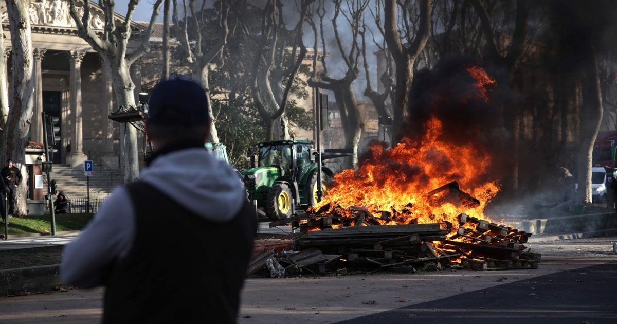 Proteste in Frankreich - Bauern rebellieren gegen Mercosur und Keulungen