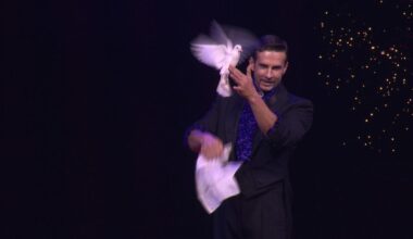 Baden-Württemberg: Zirkus in Stuttgart: Ist Nummer mit Tauben Tierquälerei oder Zauberei?