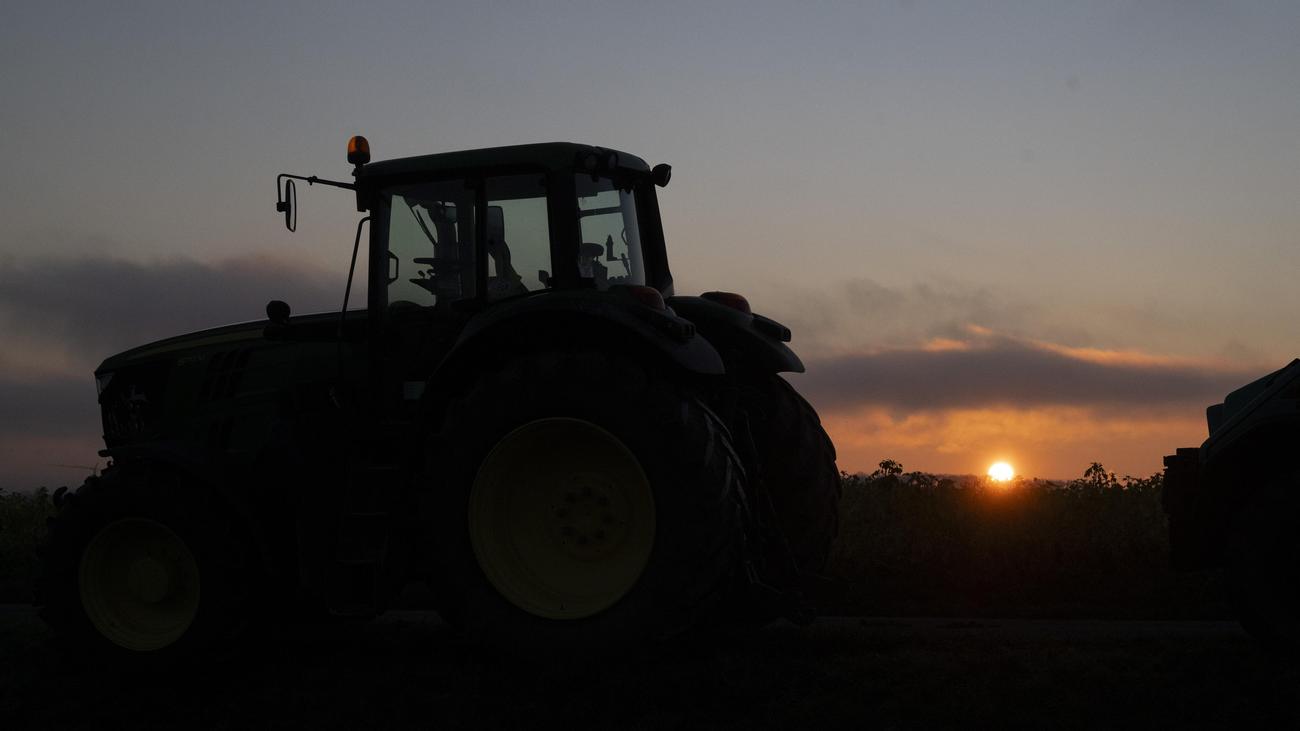 EU-Mercosur-Abkommen: EU einigt sich auf Schutzklauseln für Agrarimporte