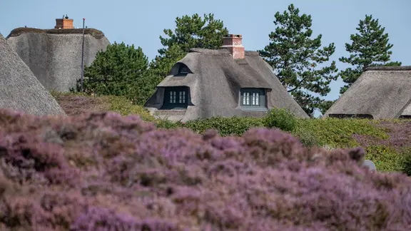 Blick auf Luxusimmobilien in den Dünen von List - Ortsteil Westerheide (Sylt).