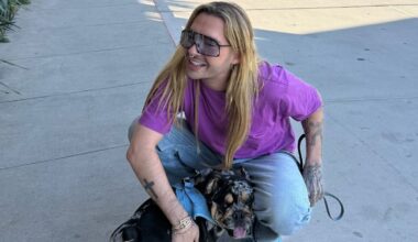 Bruder für Hündin Alvia: Bill Kaulitz ist wieder auf den Hund gekommen