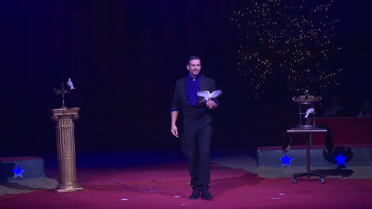 Baden-Württemberg: Nach Kritik von Aktivisten: Weltweihnachtscircus Stuttgart nimmt Tauben-Nummer aus Programm