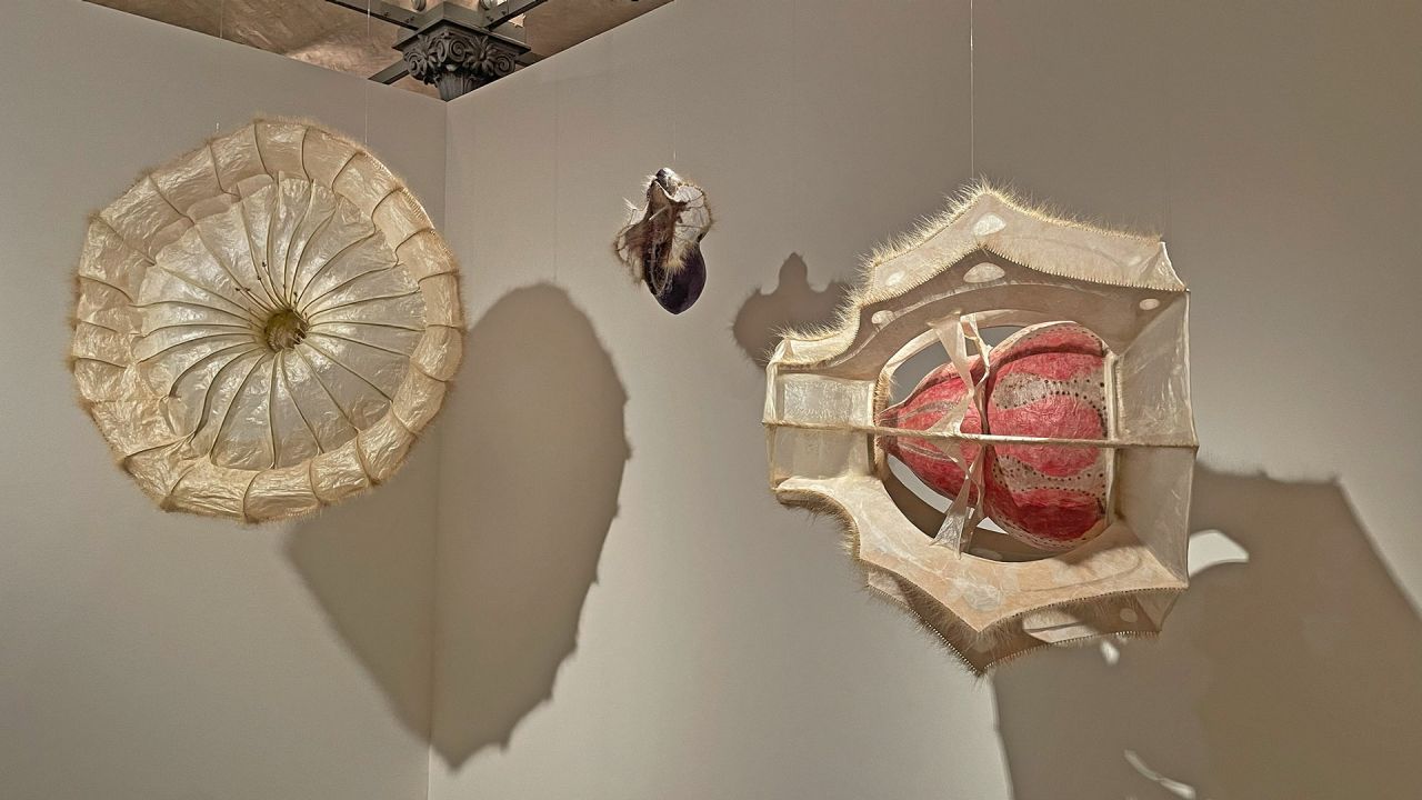 Dunkle Parallelwelten in grünem Garten