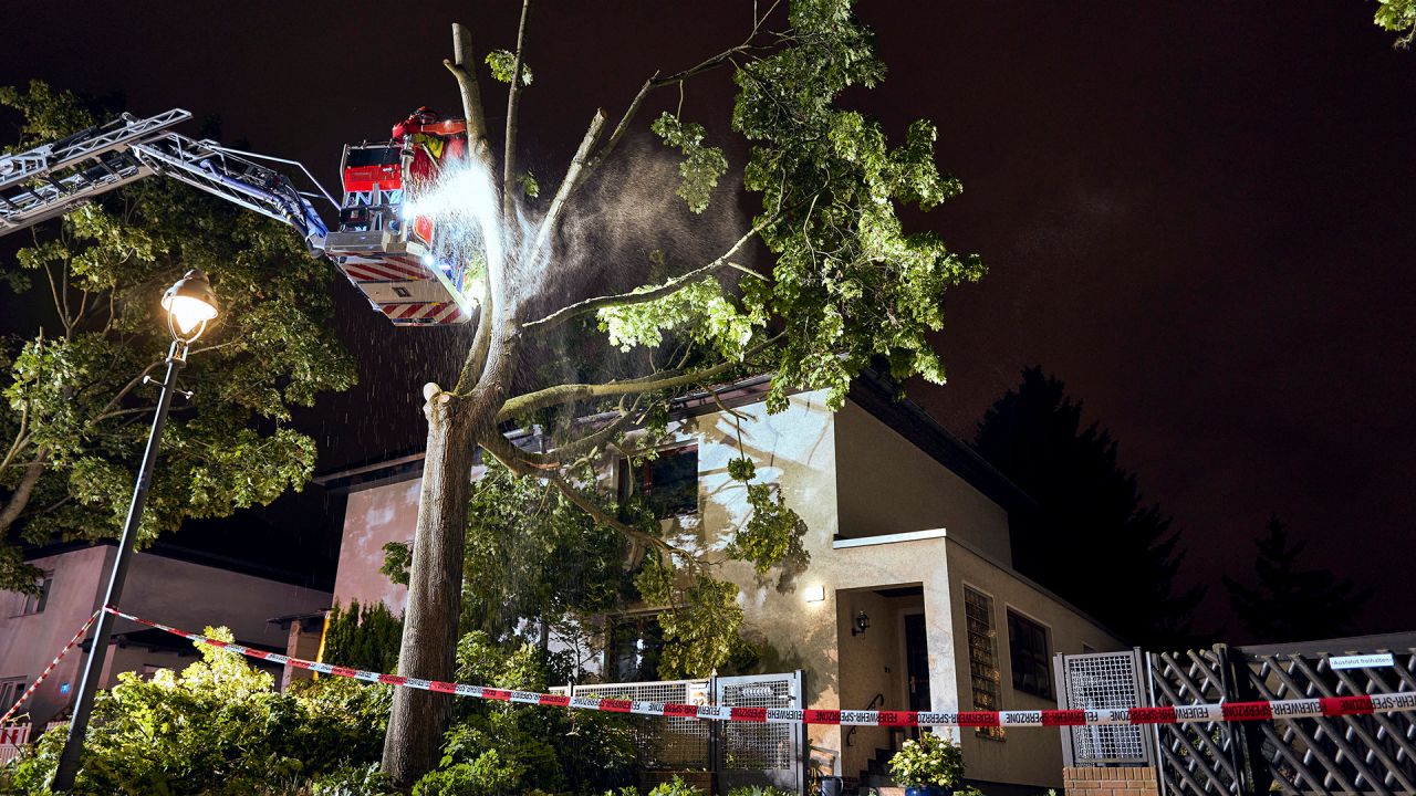 Alle Sturmschäden aus dem Sommer in Reinickendorf beseitigt