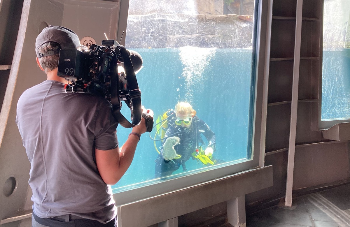 Es gibt bald eine neue Doku-Staffel aus dem Zoo Hannover.