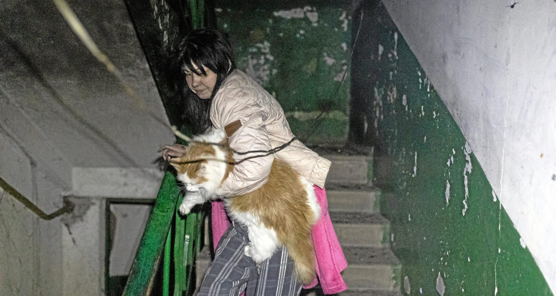 Russland und Frankreich – Ukraine-Krieg: Putin würde mit Macron reden