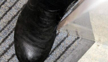 +++ Einbrecher ergriff die Flucht – Polizei sucht Zeugen +++ – fränkischer.de