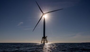 USA: Trump-Regierung stoppt Bau von Windparks vor der US-Küste