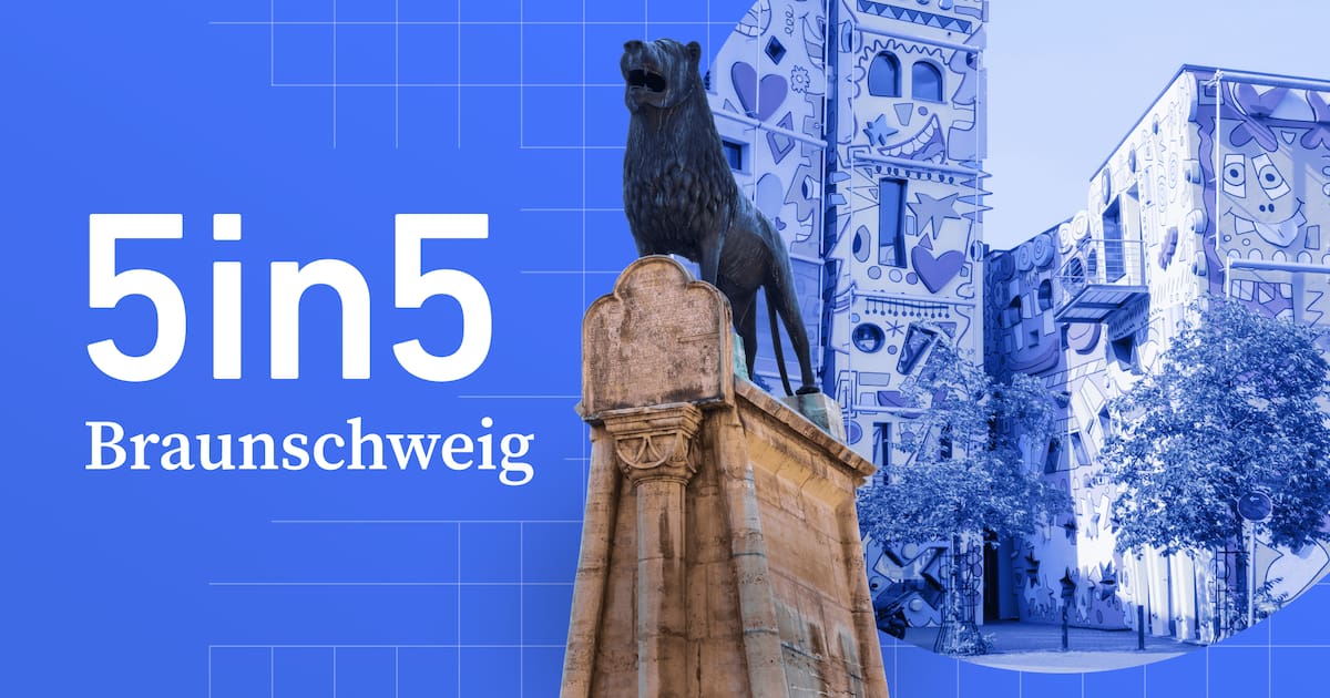 🦁 Weihnachten für alle, die nichts haben: Ein Verein erfüllt Herzenswünsche
