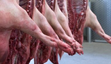 Videoüberwachung soll in Schlachthöfen Pflicht werden