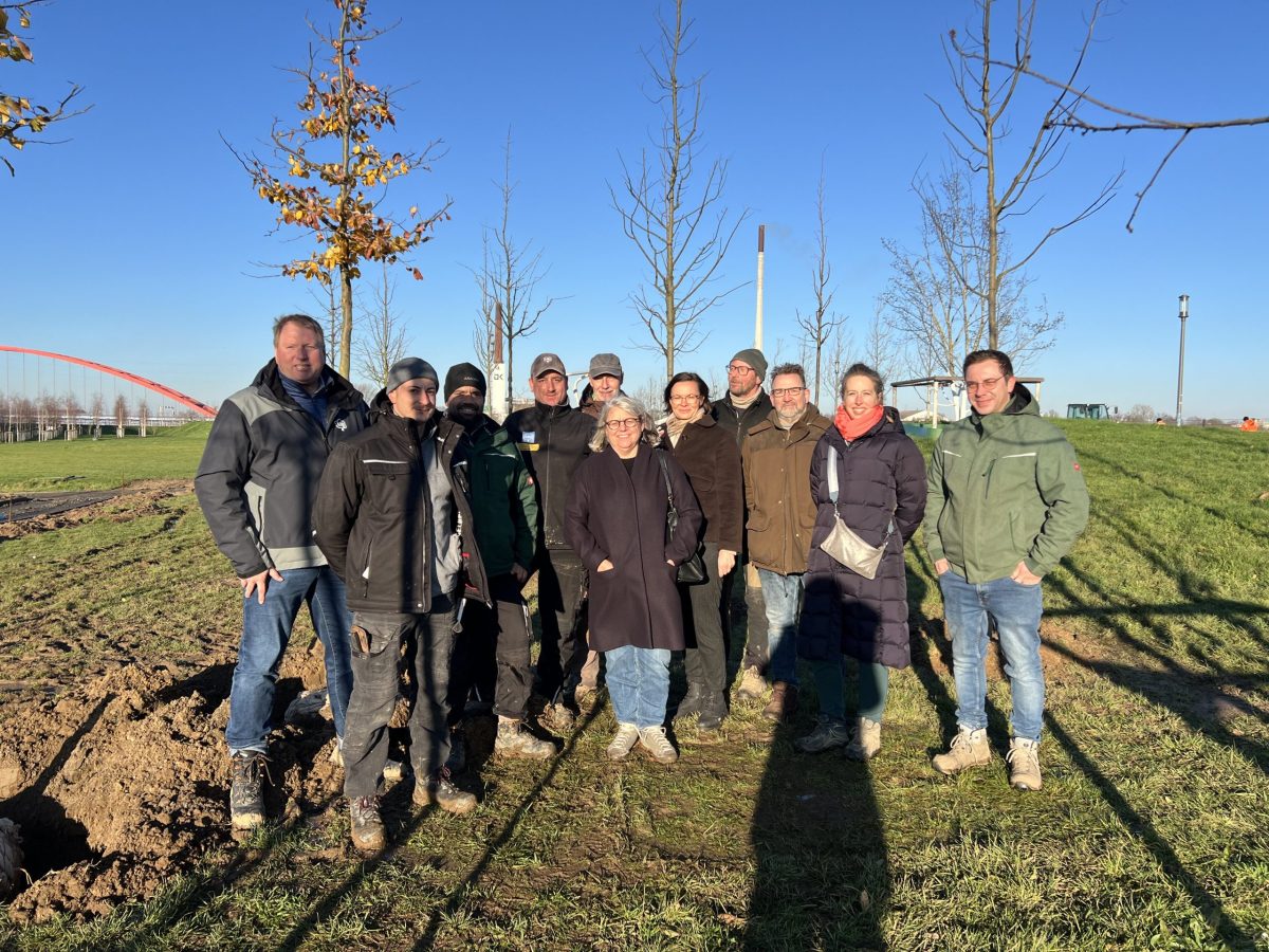 Baumschulen pflanzen Klimahain für die IGA 2027 – Rundschau Duisburg