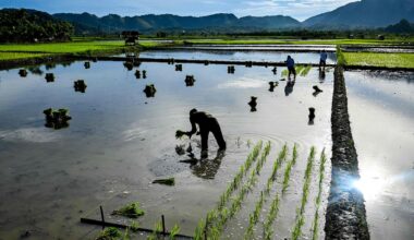 Indonesiens Provinz Banda Aceh: Nach dem Tsunami kam der Frieden