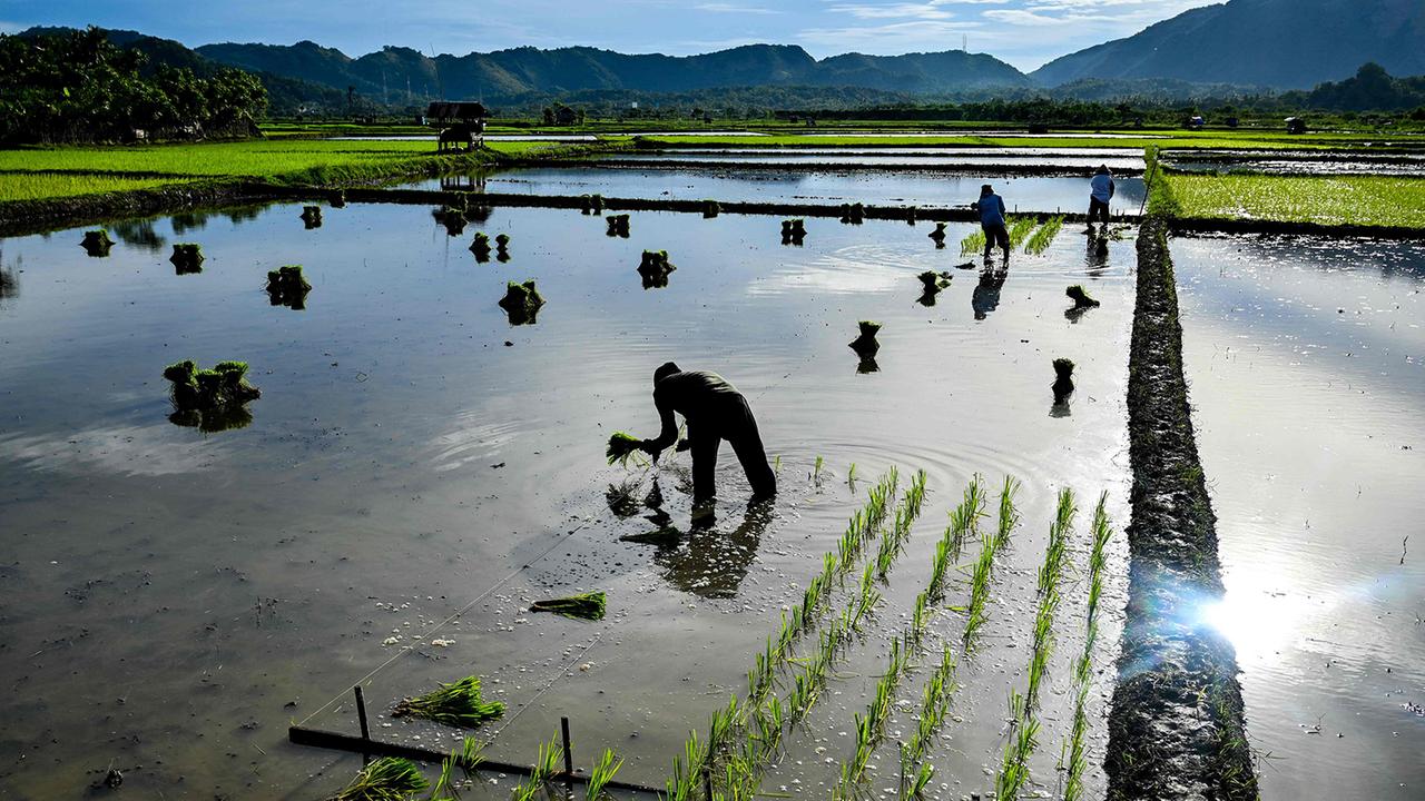 Indonesiens Provinz Banda Aceh: Nach dem Tsunami kam der Frieden