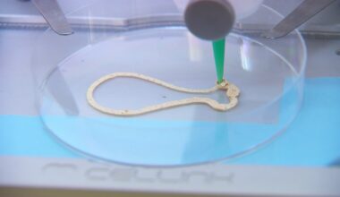 Laborfleisch: Kommt die Weihnachtsgans in Zukunft aus dem Drucker?