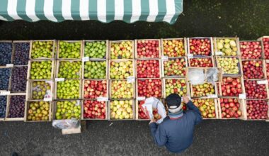 Supermärkte: Grünen-Fraktion fordert Preisvergleichs-App für Lebensmittel