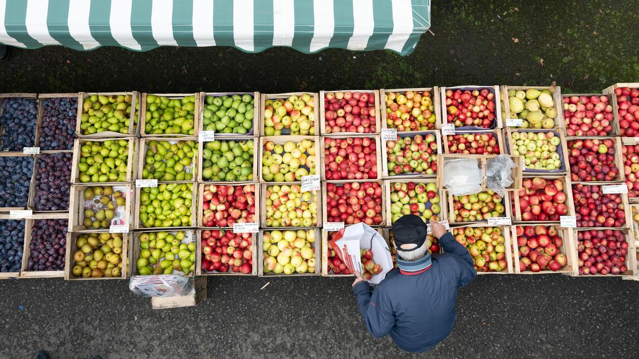 Supermärkte: Grünen-Fraktion fordert Preisvergleichs-App für Lebensmittel