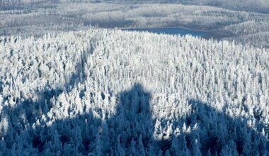 Wetter: Wetterdienst rechnet mit Wintereinbruch zum Jahreswechsel