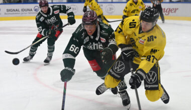 Spitzenspiel in Krefeld, Derbyrivalen in Landshut unter Druck – Flache: „Haben keine Tormaschine“