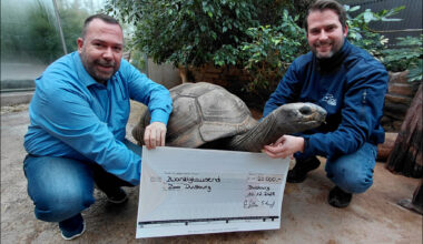 Zoo Duisburg erhält Großspende für langsame Riesen – Rundschau Duisburg