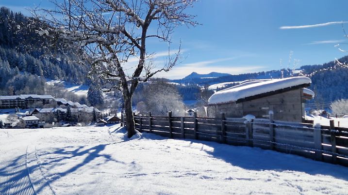 Die Trettenbachloipe, die im November nur selten gespurt ist