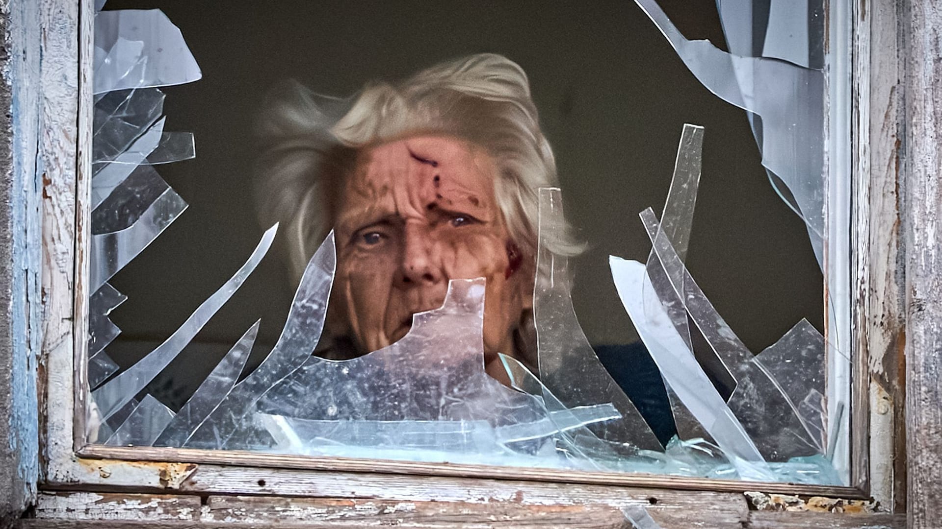 urn:newsml:dpa.com:20090101:251224-99-06461