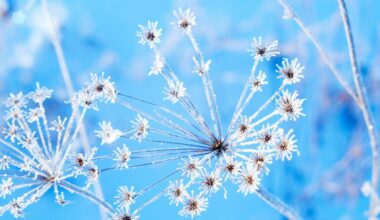 Wetter: Weihnachten so kalt wie seit 15 Jahren nicht