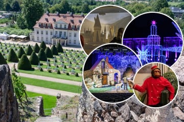 Dresden: Noch nichts vor? So wird der 2. Weihnachtstag richtig gut