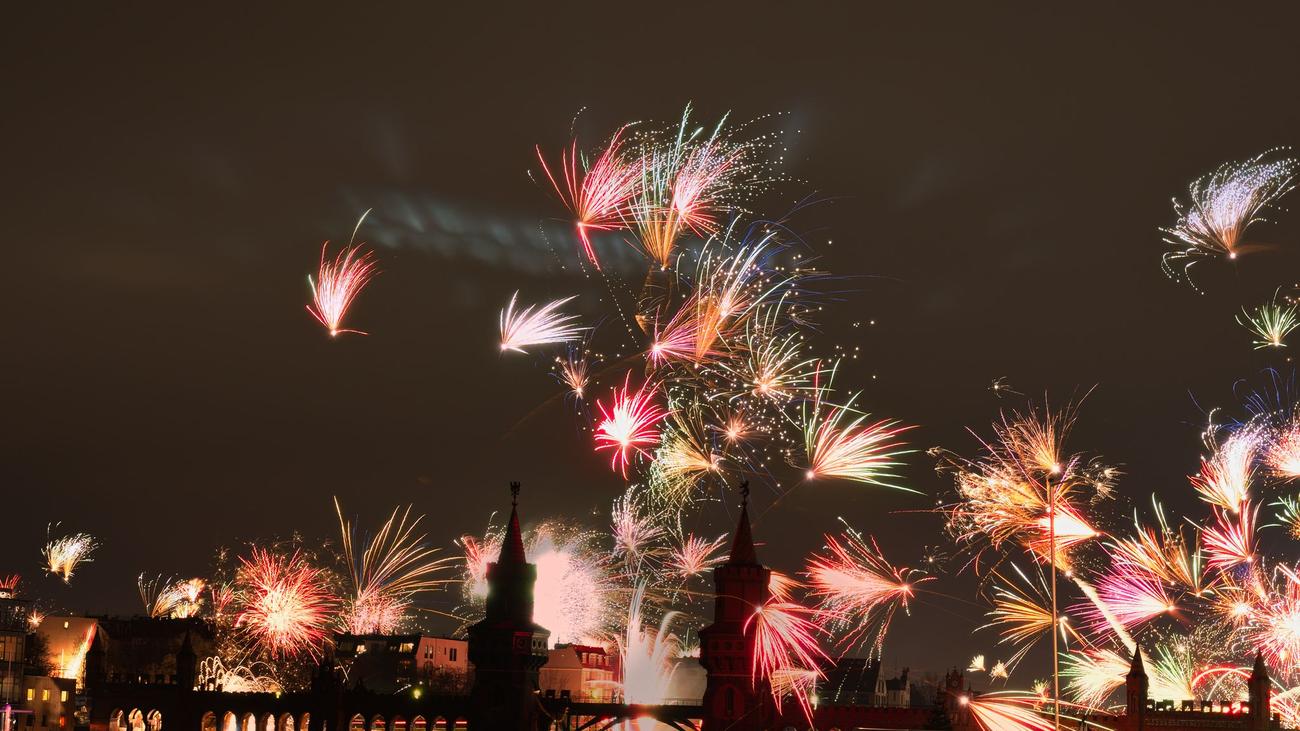 Böllern in Berlin: Stress für Tiere: Zoo wirbt an Silvester für Rücksichtnahme