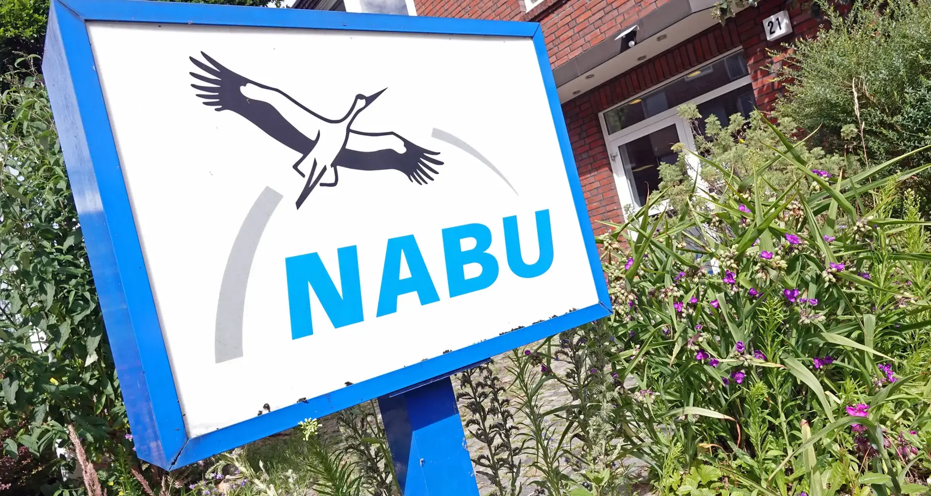 Naturschützer: Licht und Schatten beim Klimaschutz in Hamburg